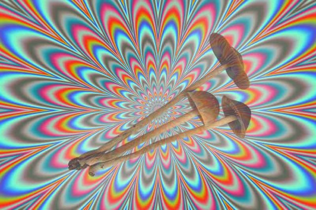 Reddit? Russia says forget it