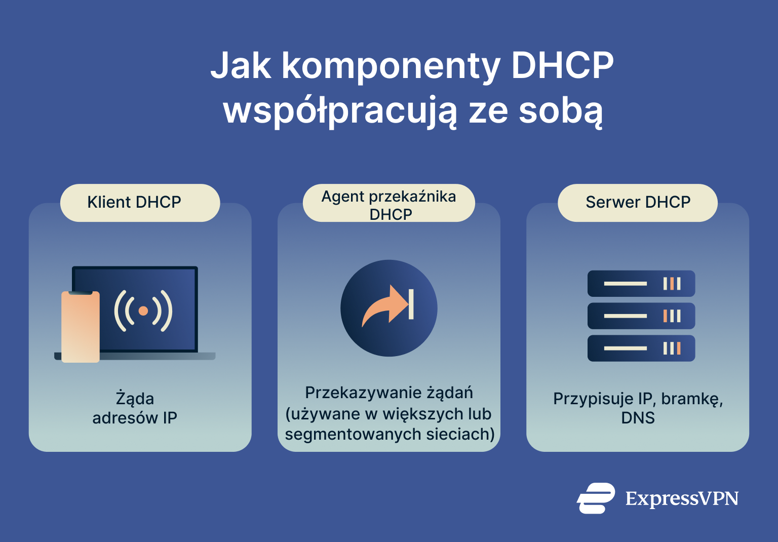 Infographic showing how DHCP components work.