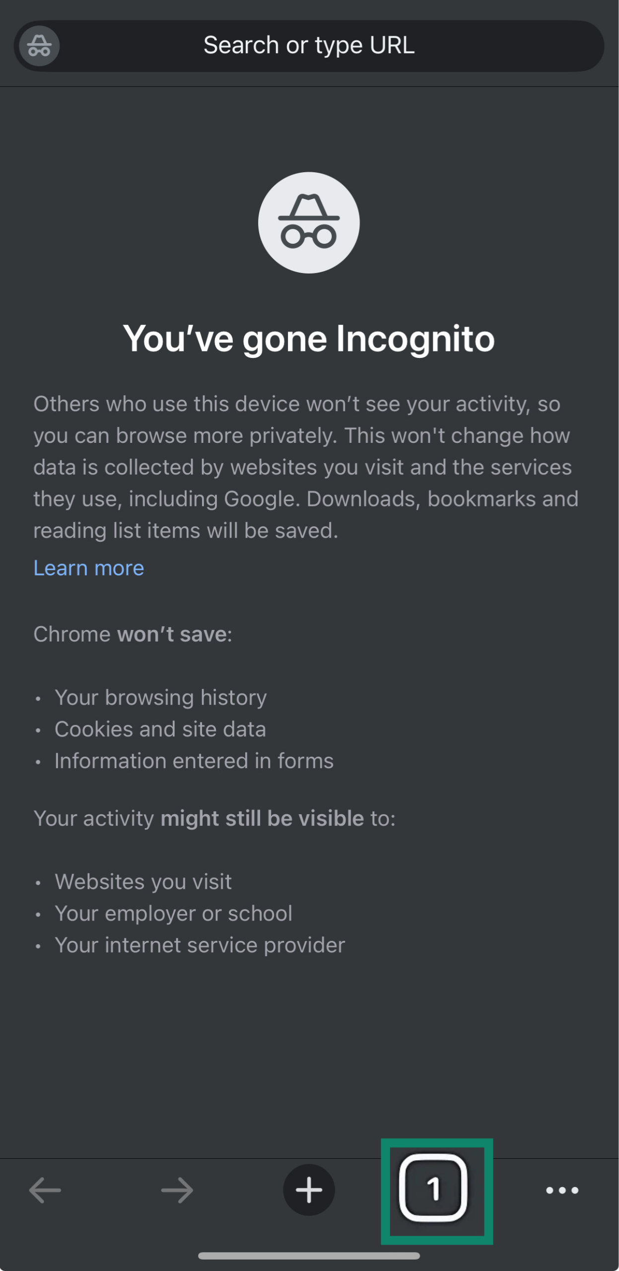 iOS Google Chrome opened to Incognito Mode.