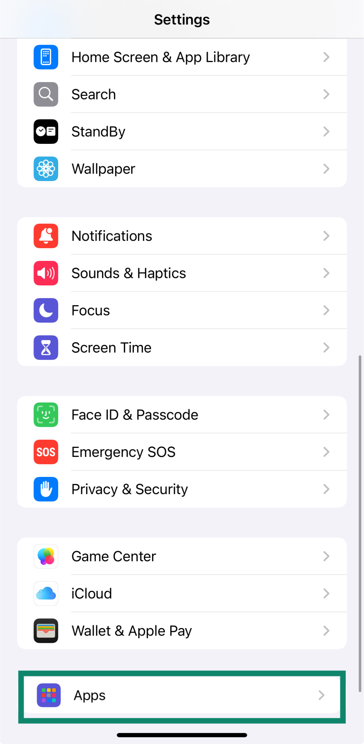 iOS Settings screen showing the Apps section for checking installed applications
