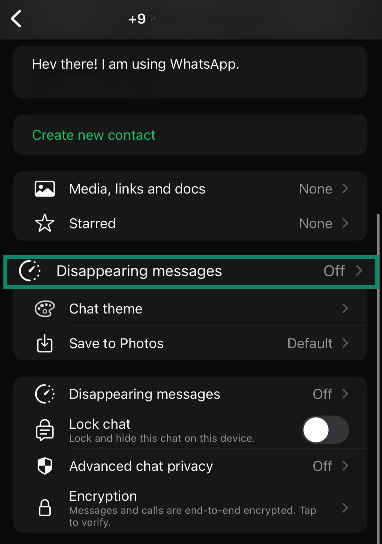 WhatsApp individual chat settings menu with Disappearing messages highlighted.