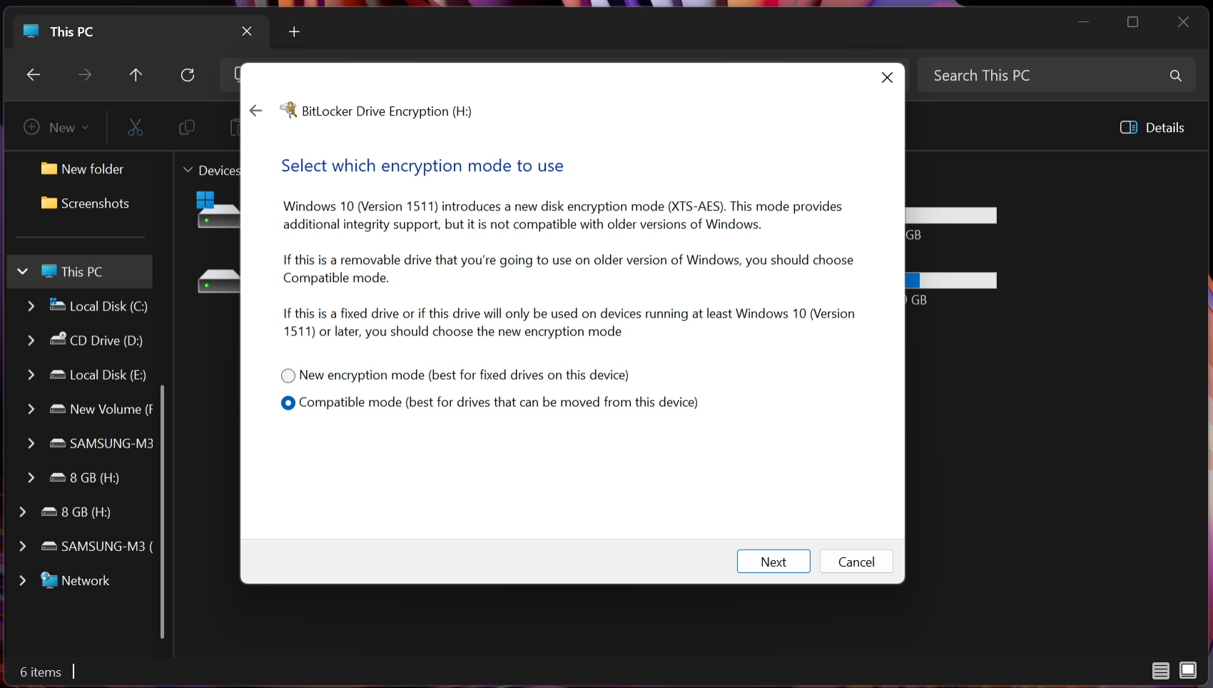 BitLocker screen for choosing the encryption mode.