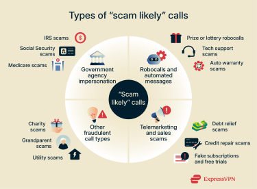 The different types of scams that trigger scam likely alerts.