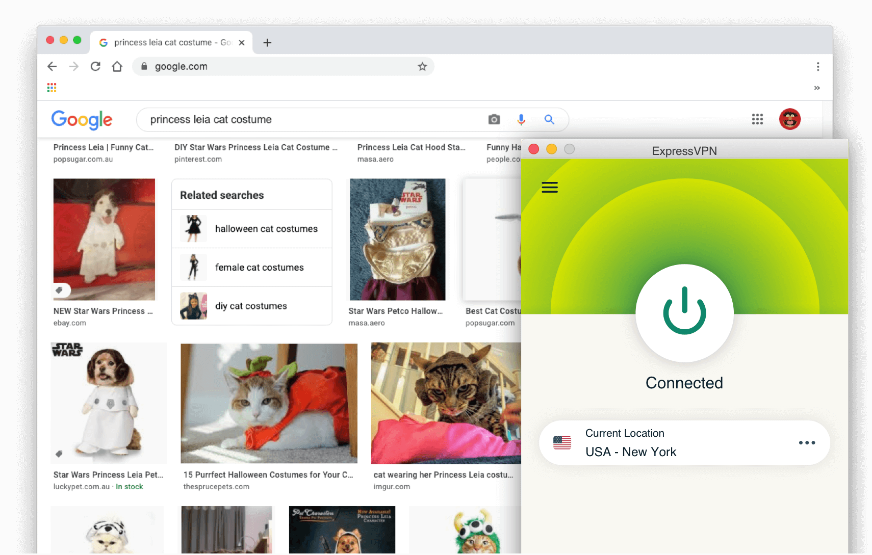Google-søkeresultater: Prinsesse Leia kattedrakt med ExpressVPN slått på.