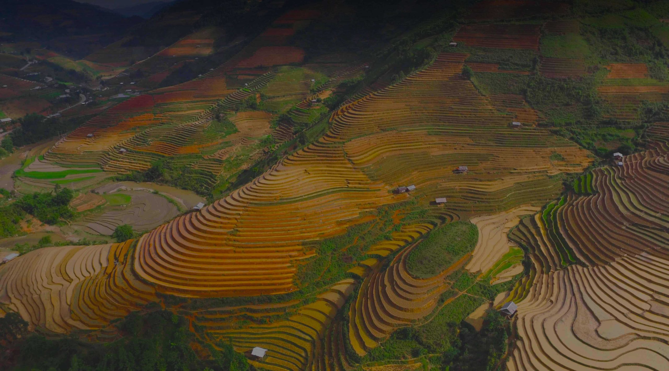 En iyi Vietnam VPN hizmeti