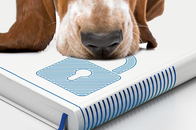 ExpressVPN protects you from password sniffing programs