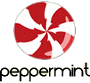 VPN for Peppermint OS