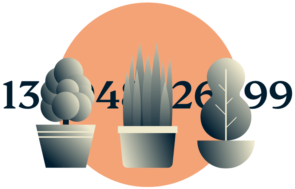 Samarkan alamat IP Anda: Tanaman dalam pot menyembunyikan alamat IP.